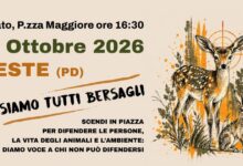 Siamo tutti bersagli: sit-in del 24 ottobre 2026 a Este, dalla locandina