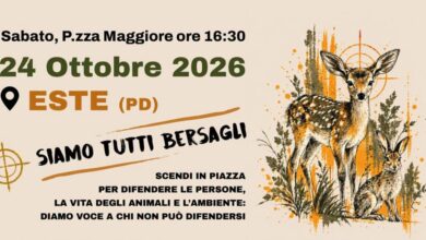 Siamo tutti bersagli: sit-in del 24 ottobre 2026 a Este, dalla locandina