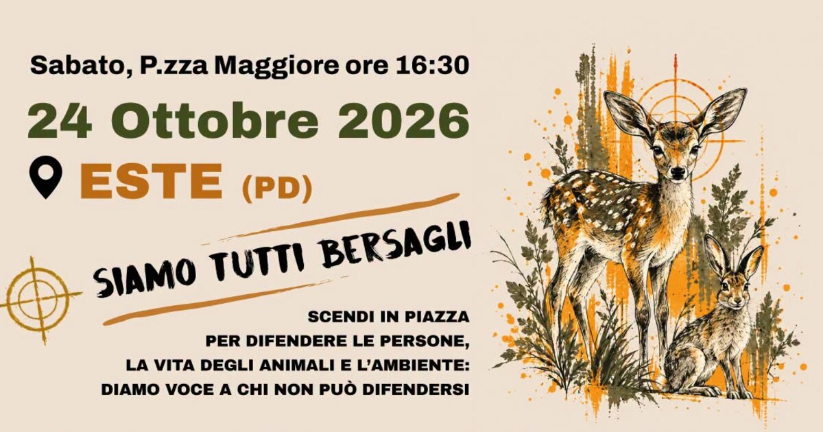 Siamo tutti bersagli: sit-in del 24 ottobre 2026 a Este, dalla locandina