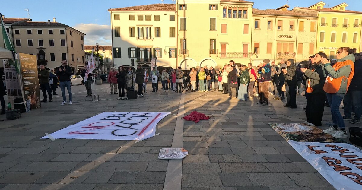 Il presidio in piazza Maggiore a Este con lo striscione «No DDL caccia»
