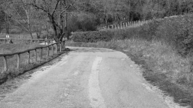Via Sottovenda a Galzignano Terme, sui Colli Euganei