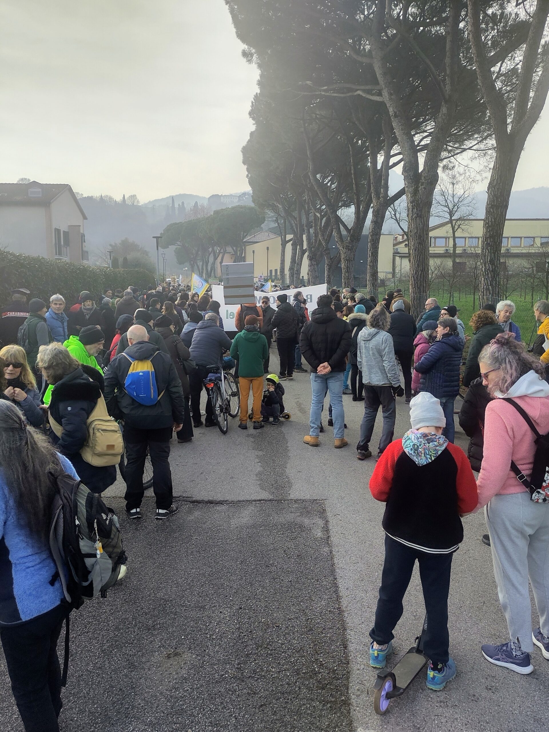 Il corteo dell'8 febbraio 2026 lungo il viale alberato di Torreglia