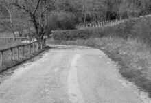 Strada asfaltata stretta tra siepi e staccionata in legno sui Colli Euganei, a Galzignano Terme