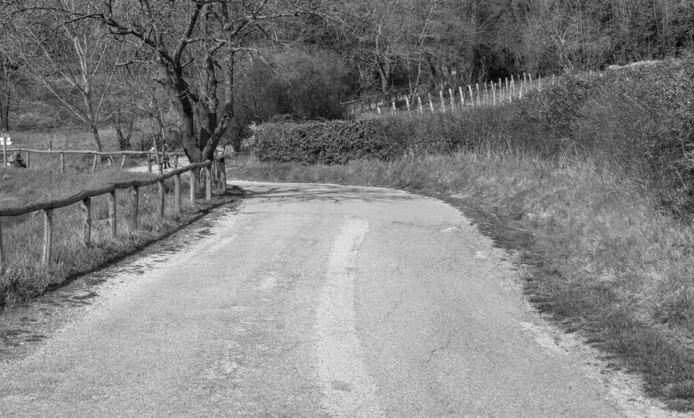 Strada asfaltata stretta tra siepi e staccionata in legno sui Colli Euganei, a Galzignano Terme