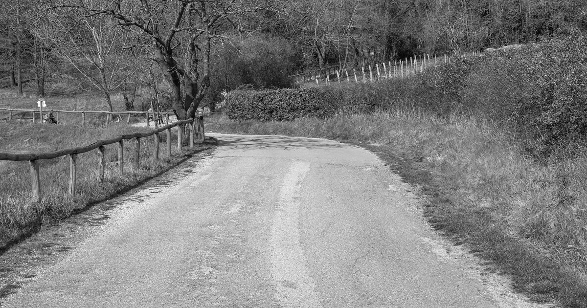 Strada asfaltata stretta tra siepi e staccionata in legno sui Colli Euganei, a Galzignano Terme