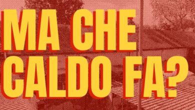 Locandina Ma che caldo fa?, sabato 10 ottobre 2026 al Pedro di Padova, presentazione dei dati della centralina microclimatica