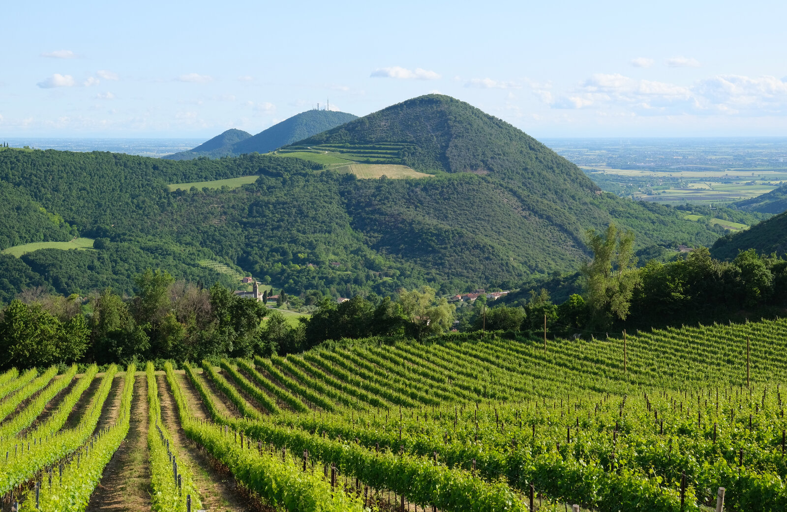 Veduta panoramica dei Colli Euganei dalla strada di Via Sottovenda con Monte Rusta, Monte Cero e Monte Castello