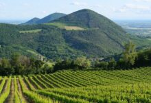 Veduta panoramica dei Colli Euganei da Via Sottovenda: Monte Rusta, Monte Cero e Monte Castello
