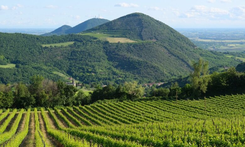 Veduta panoramica dei Colli Euganei da Via Sottovenda: Monte Rusta, Monte Cero e Monte Castello