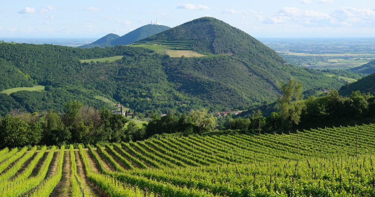 Veduta panoramica dei Colli Euganei da Via Sottovenda: Monte Rusta, Monte Cero e Monte Castello
